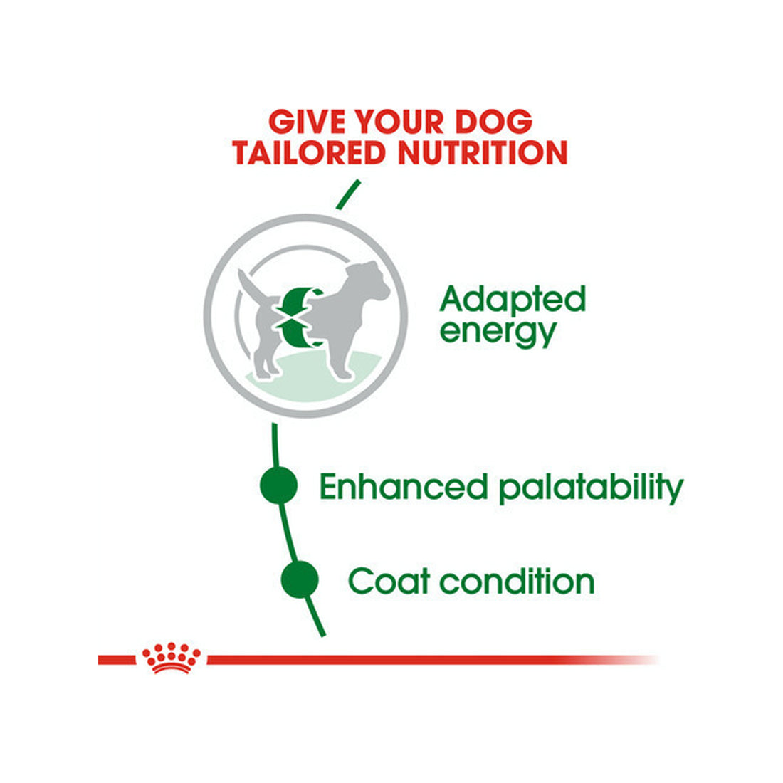 Royal Canin Mini Adult 2kg Ξηρά Τροφή για Ενήλικους Σκύλους Μικρόσωμων Φυλών με Καλαμπόκι και Πουλερικά