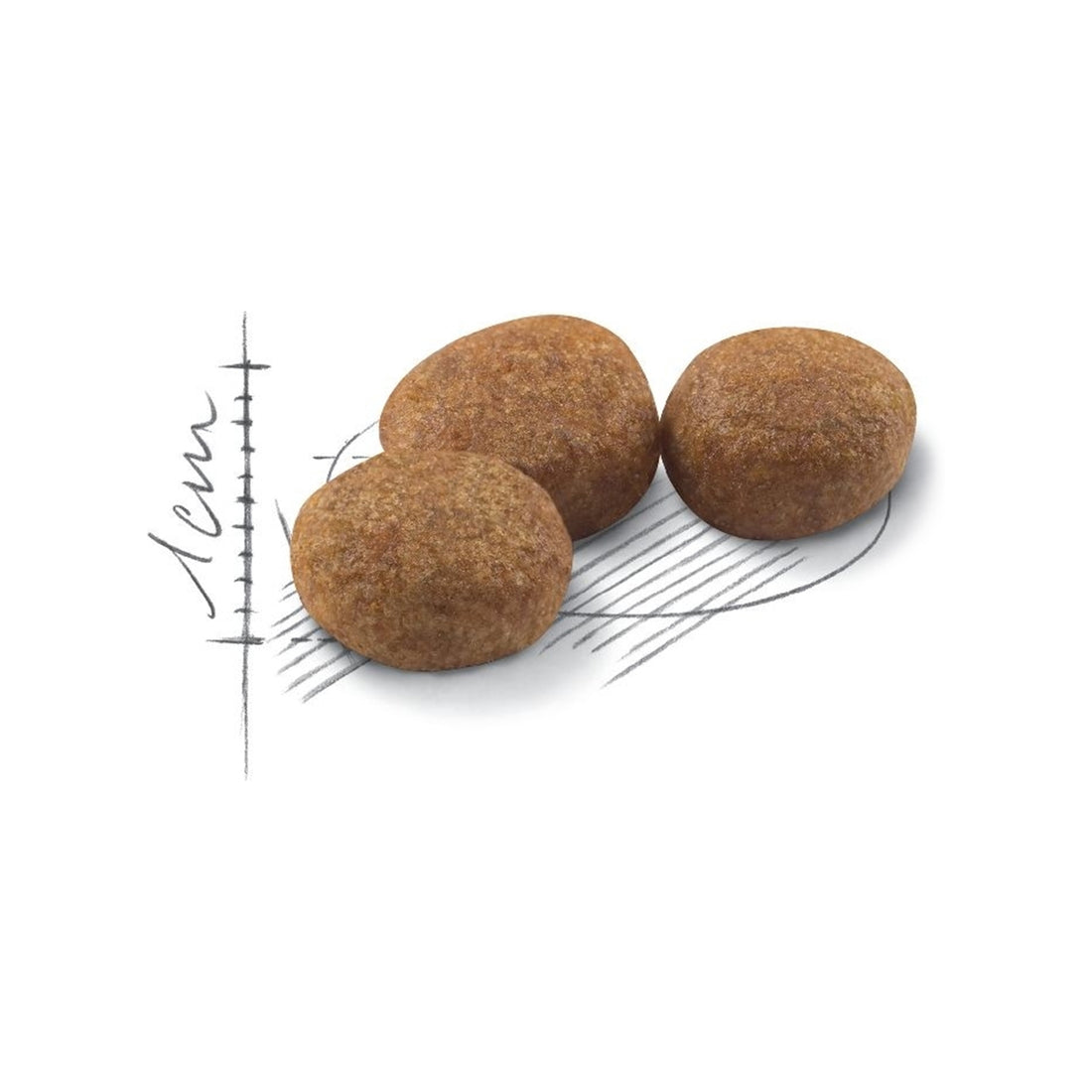 Royal Canin Regular Sterilised 37 Ξηρά Τροφή για Ενήλικες Στειρωμένες Γάτες με Πουλερικά 2kg