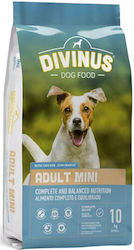 [4103289] Divinus Dog Adult Mini 10kg