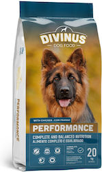 [4618626] Divinus Pet Nutrition Performance 20kg Ξηρά Τροφή για Ενήλικους Σκύλους με Κοτόπουλο
