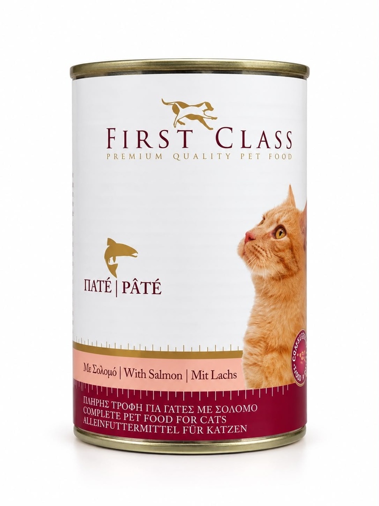 First Class Pate με Σολομό 400gr